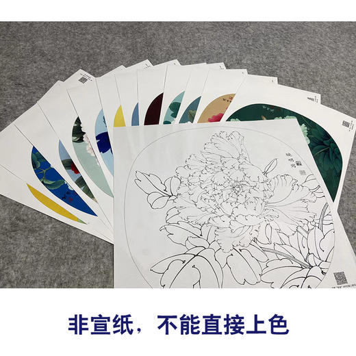 李晓明工笔花鸟画白描底稿牡丹一套十二幅册页尺寸38×41厘米花鸟线稿KF22 商品图3