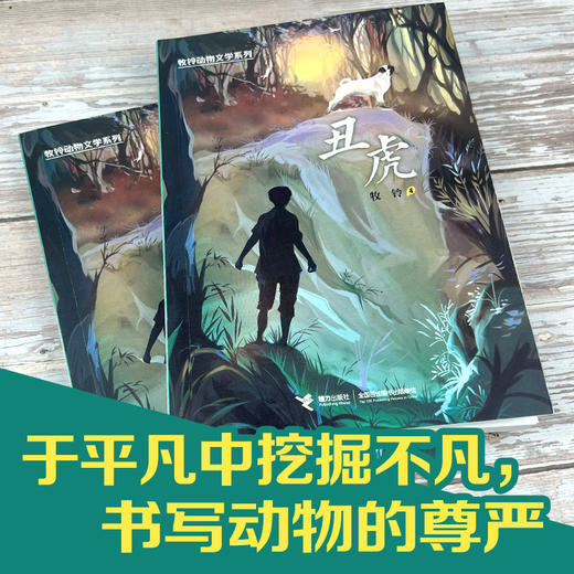 牧铃动物文学系列·丑虎 商品图1