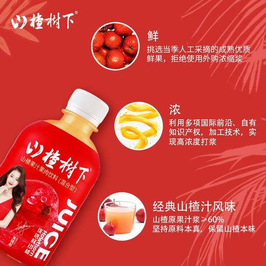 冠芳山楂树下山楂果汁果肉饮料350ml 商品图2