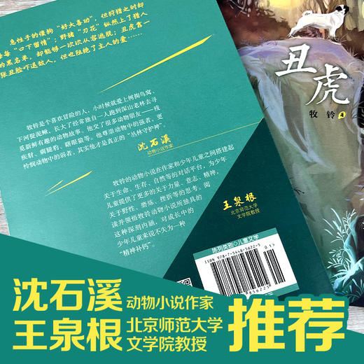 牧铃动物文学系列·丑虎 商品图3