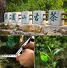 2013年景迈山大树春茶 空谷礼品茶357克 商品缩略图2