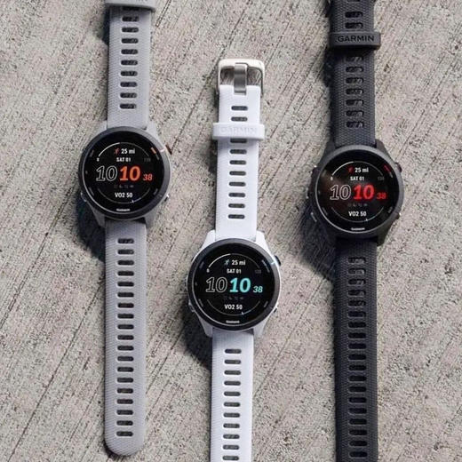 Garmin佳明Forerunner255音乐跑步游泳血氧心率运动手表 商品图8