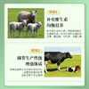 华畜牛羊高钙多维1kg 拉大骨架促生长 补充维生素均衡营养 商品缩略图2