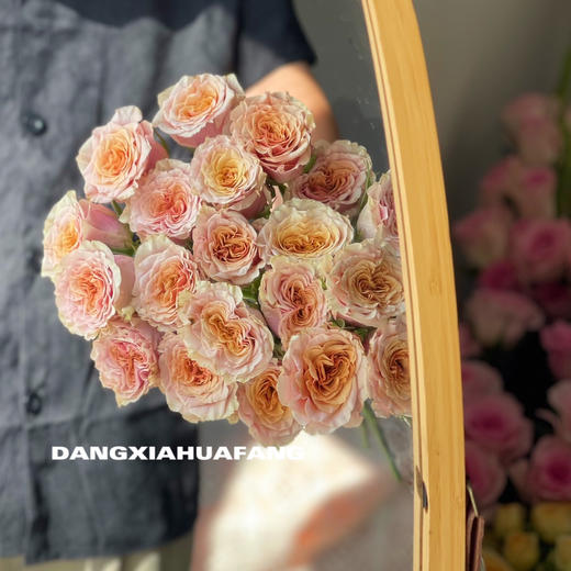 【旧时光玫瑰.7份福利秒杀】18支送2支/份   颜色像微微泛黄的老照片   带点复古感的粉橙复色 商品图11