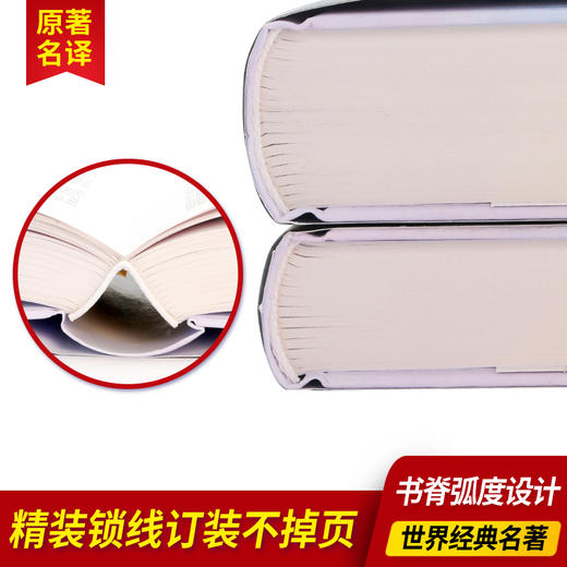卡拉马佐夫兄弟（精装上下册）全译本陀思妥耶夫斯基著世界经 商品图1