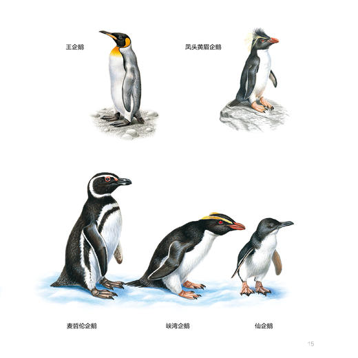 《中国少儿博物百科：3D图解世界》（全12册） 商品图7