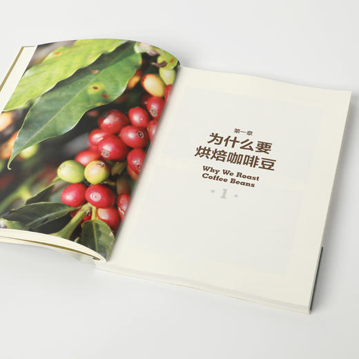 中信出版 | 咖啡烘焙：烘豆基础手册+进阶实践手册 商品图1