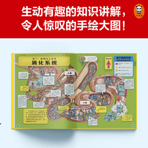 人体一日游 商品图3