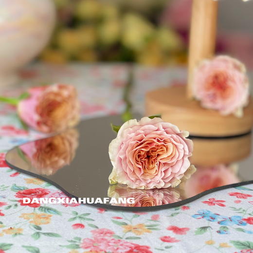 【旧时光玫瑰.7份福利秒杀】18支送2支/份   颜色像微微泛黄的老照片   带点复古感的粉橙复色 商品图4