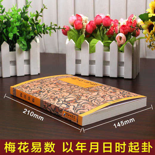 梅花易数+水龙经 原文白话文注解 内附插图 郭璞邵雍著 故宫珍本丛刊 阴阳宅看风水坟地 寻龙点穴 奇门八卦易经术数 商品图2