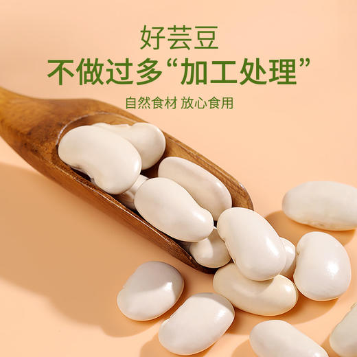 福东海 白芸豆500克 五谷杂粮大白豆 白腰豆 菜豆 饭豆 煮粥煲汤 商品图3