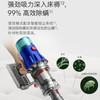 戴森V12 Detect Slim Fluffy无绳吸尘器（2022款） 商品缩略图11