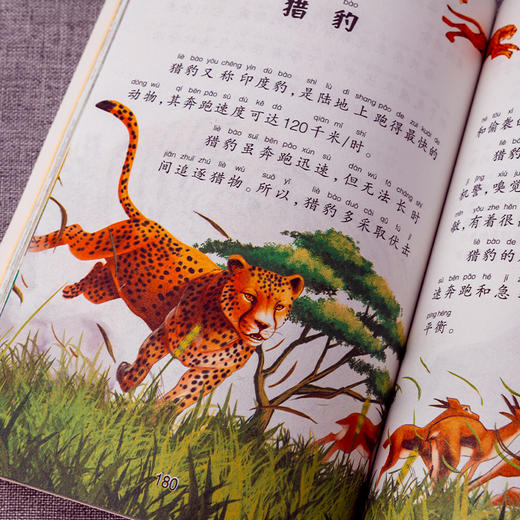 中国少年儿童百科全书322页彩图注音版动物世界植物天地海洋生物一二三年级课外阅读书籍科普读物绘本写给孩子的百科全书 商品图3