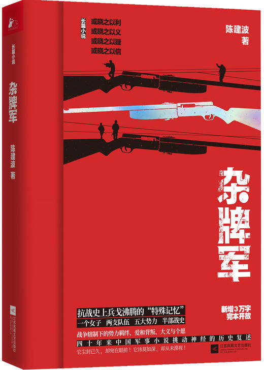 (仓发) 杂牌军（抗战史上的“特殊记忆”）/江苏凤凰文艺出版社/陈建波/9787559432988 商品图0