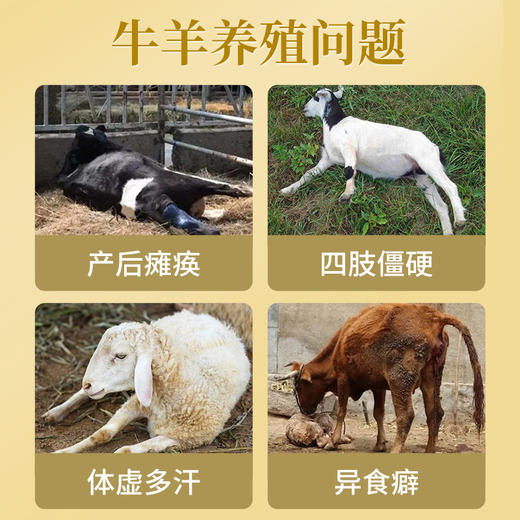 华畜牛羊高钙多维1kg 拉大骨架促生长 补充维生素均衡营养 商品图1