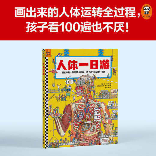 人体一日游 商品图1