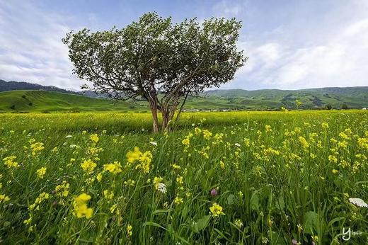 新疆三大网红公路【独库公路+S101国防公路百里画廊+伊昭公路】+【昭苏天马沐河、库尔德宁、那拉提、赛里木湖、巴音布鲁克】9天摄影团 商品图0