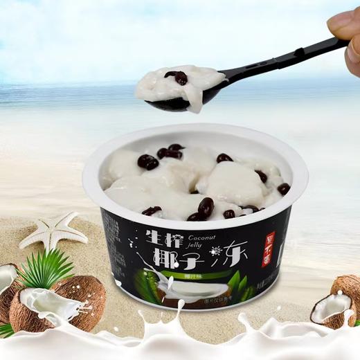 果不离椰子冻220g 商品图0