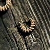 SpoiledBrat Jewelry金色螺旋耳圈系列 | 注金款 商品缩略图4