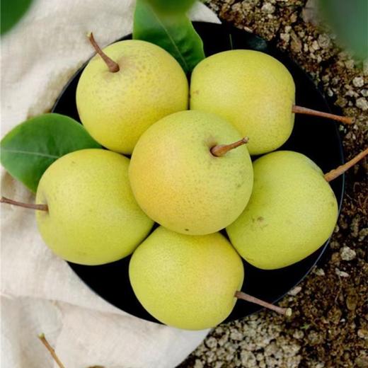 蜂蜜梨（±50g） 商品图0