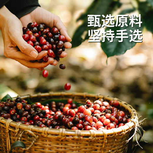 天粟牌三合一速溶咖啡（蓝山风味）10条*13g/盒 商品图1