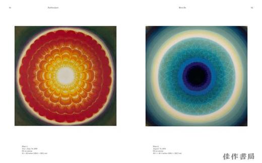 Midnight to the Boom: Painting in India after Independence / 从午夜到繁荣：独立后的印度绘画 商品图1