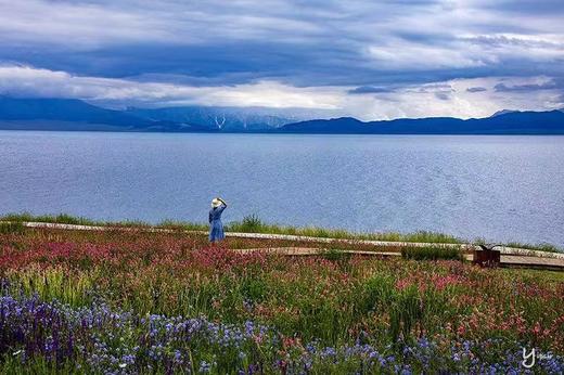 新疆阿勒泰、“童话仙境”喀纳斯&禾木村、三大网红公路（独库公路+S21沙漠公路+阿禾公路）、那拉提空中草原、乌尔禾魔鬼城、唐布拉百里画廊、“大西洋最后一滴眼泪”赛里木湖10天纯玩团 商品图8