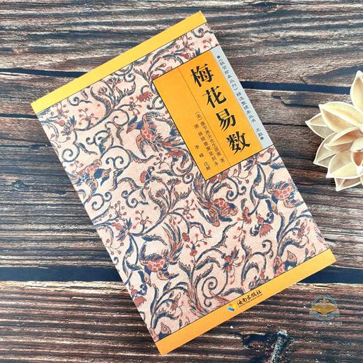 梅花易数+水龙经 原文白话文注解 内附插图 郭璞邵雍著 故宫珍本丛刊 阴阳宅看风水坟地 寻龙点穴 奇门八卦易经术数 商品图3