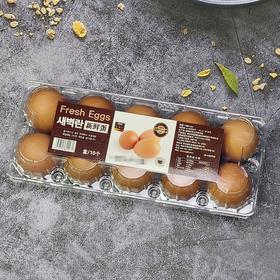 爱奥家 新鲜蛋10P