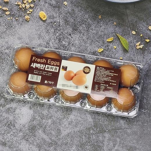 爱奥家 新鲜蛋10P 商品图0