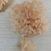 丨生态丨深山椴木银耳500g 种植过程中绝不使用任何化肥农药，香精激素等化学制品，已通过0农残检测 商品缩略图10