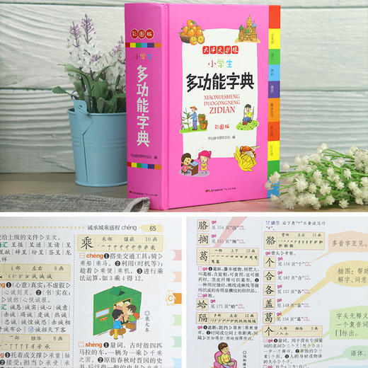 正版新编小学生多功能字典全新彩色本彩图版中小学全笔顺语汇趣味语句近义词反义词大词典工具书1-6年级现代汉语字典 商品图3