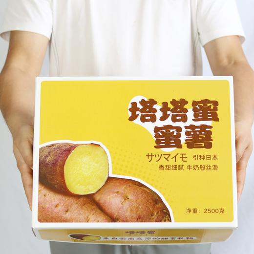 云阳蜜薯5斤精品装 商品图2