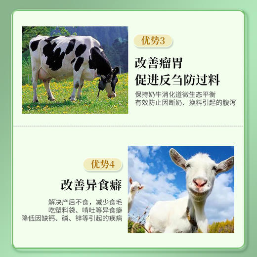 华畜牛羊高钙多维1kg 拉大骨架促生长 补充维生素均衡营养 商品图3