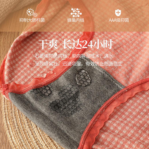 【49元6条装】新款爆款女神同款日系莫代尔内裤，绵柔舒适，丝滑清凉不闷热，贴身无痕 提臀蕾丝裤 商品图3