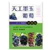 天工墨玉葡萄【彩图版】 商品缩略图0