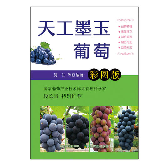 天工墨玉葡萄【彩图版】 商品图0