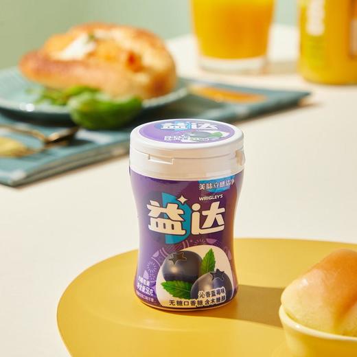 益达蓝梅无糖口香糖56g/瓶 商品图4