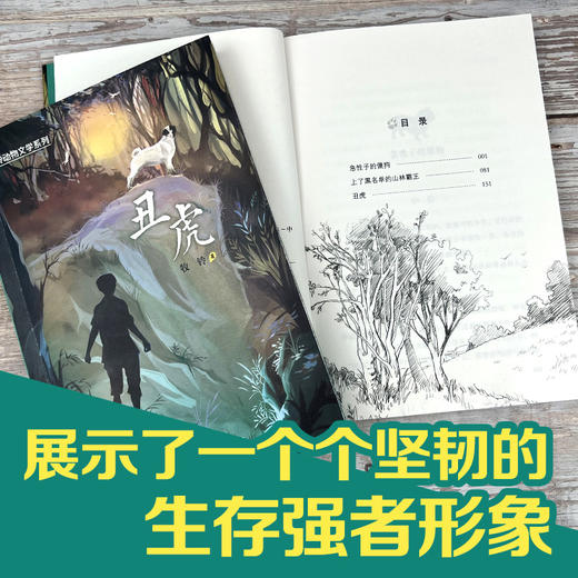 牧铃动物文学系列·丑虎 商品图2
