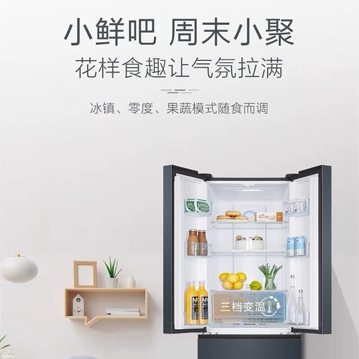 海尔（Haier）冰箱336升双变频多门对开门纤薄机身风冷无霜三档变温保鲜家用智能电冰箱BCD-336WLHFD9DC9 商品图1
