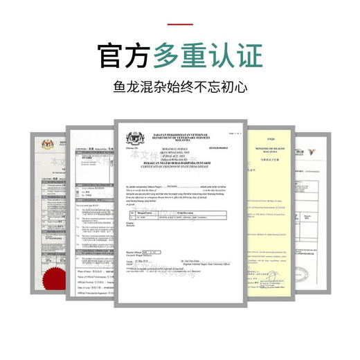 夫人燕窝溯源燕盏 一盏一码溯源可查 不刷胶足干燕盏轻捏容易碎 商品图6