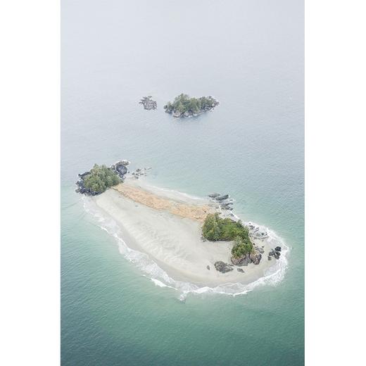 谷物06.如何拥有一片森林 商品图4