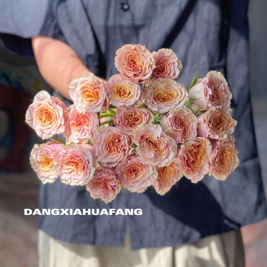 【旧时光玫瑰.7份福利秒杀】18支送2支/份   颜色像微微泛黄的老照片   带点复古感的粉橙复色 商品图9