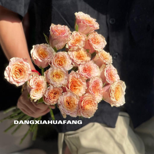 【旧时光玫瑰.7份福利秒杀】18支送2支/份   颜色像微微泛黄的老照片   带点复古感的粉橙复色 商品图6