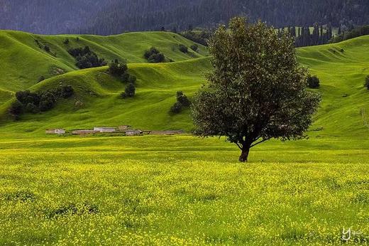 新疆三大网红公路【独库公路+S101国防公路百里画廊+伊昭公路】+【昭苏天马沐河、库尔德宁、那拉提、赛里木湖、巴音布鲁克】9天摄影团 商品图2