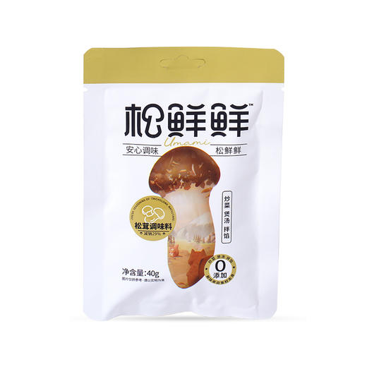 松鲜鲜松茸调味料40g 商品图0