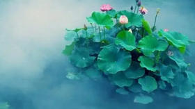 长夏脾土易受伤，做好这三点，安然度夏~ 