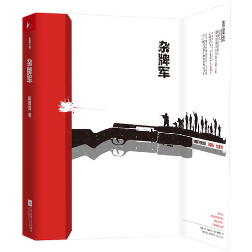 (仓发) 杂牌军（抗战史上的“特殊记忆”）/江苏凤凰文艺出版社/陈建波/9787559432988 商品图1