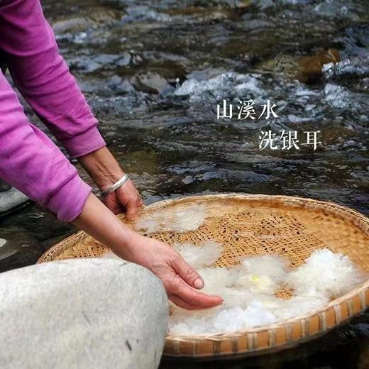 丨生态丨深山椴木银耳500g 种植过程中绝不使用任何化肥农药，香精激素等化学制品，已通过0农残检测 商品图9