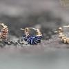 SpoiledBrat Jewelry金色螺旋耳圈系列 | 青金石款 商品缩略图2
